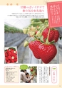 夢ぷらざVol.38-2014冬号