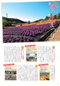 夢ぷらざVol.43-2016春号