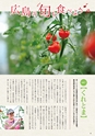 夢ぷらざ vol44