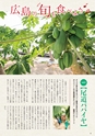 夢ぷらざ vol49