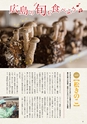 夢ぷらざ vol51