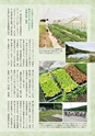 夢ぷらざ vol52