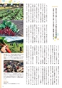 夢ぷらざ vol59